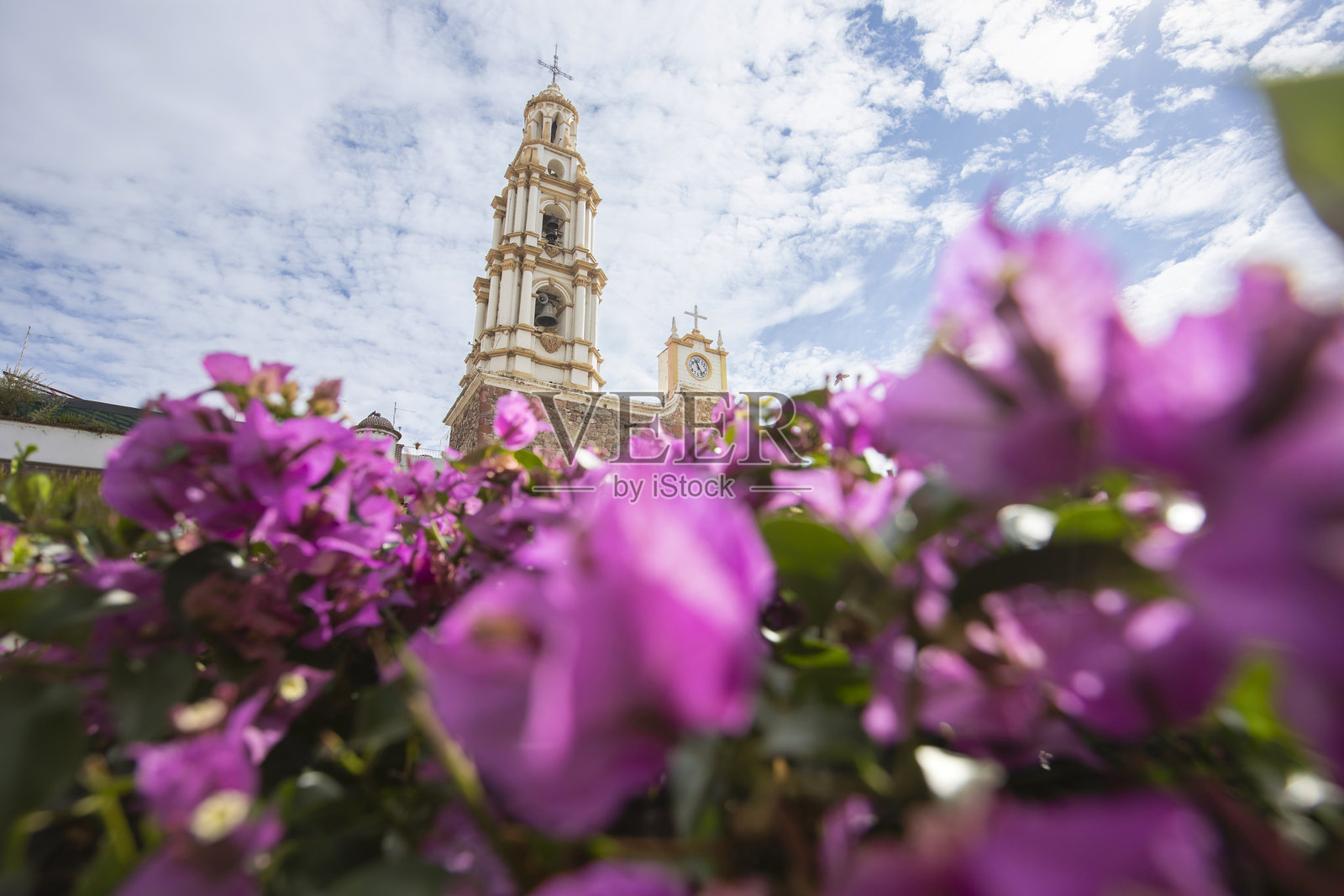 历史悠久的市中心阿吉吉克哈利斯科州墨西哥照片摄影图片