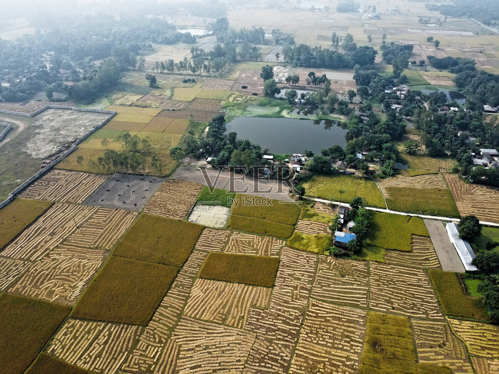 无人机拍摄的印度几乎成熟的稻田鸟瞰图照片摄影图片