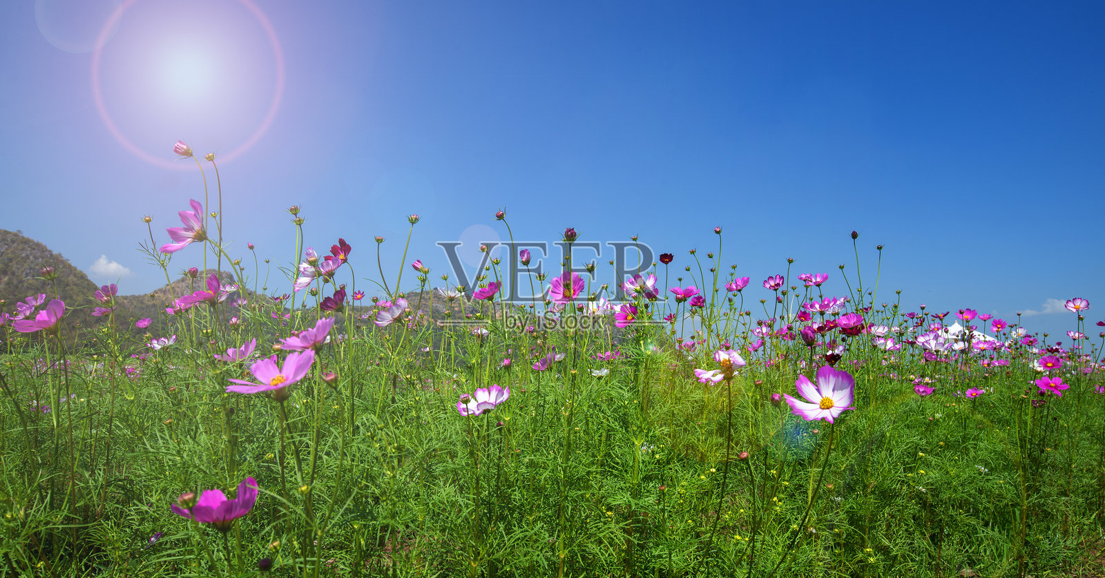 宇宙花园,适合自然旅游景点。照片摄影图片
