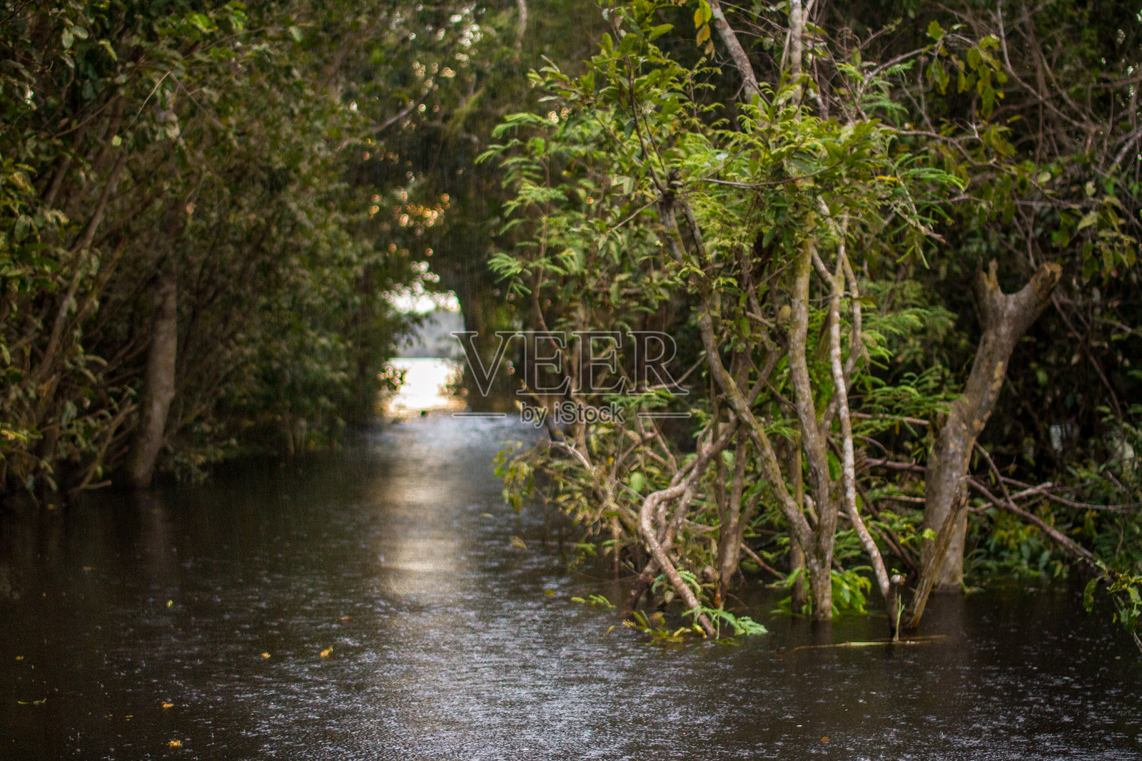 巴西亚马逊雨林中阿纳维尔哈纳斯河群岛内的内格罗河上的风暴。一个美丽的下午在森林里。照片摄影图片