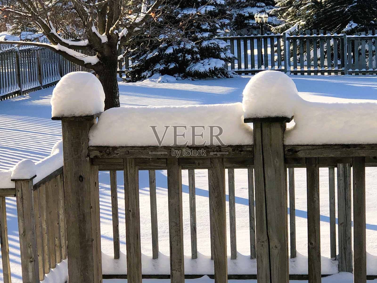 傍晚的阳光在新鲜的白雪上投下长长的影子。照片摄影图片