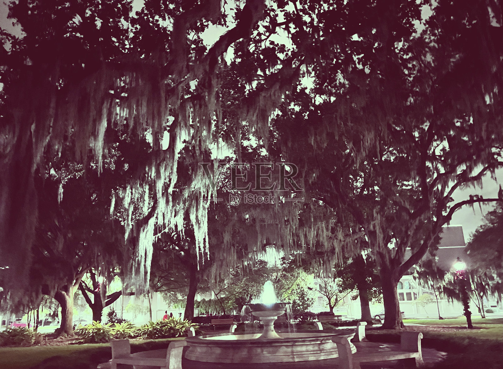 哦,哇!照片摄影图片