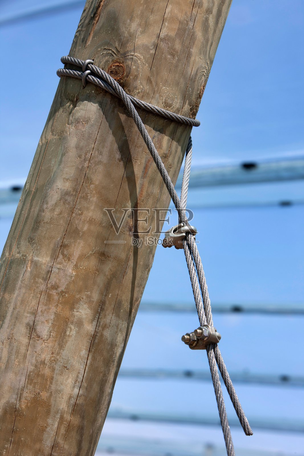 荷兰果园中的防雹网照片摄影图片