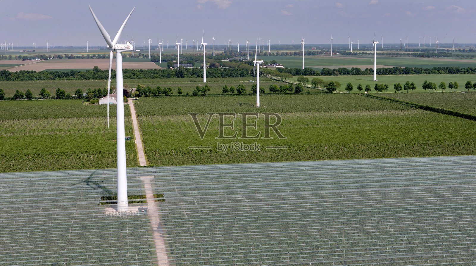荷兰果园中的防雹网航拍照片。照片摄影图片