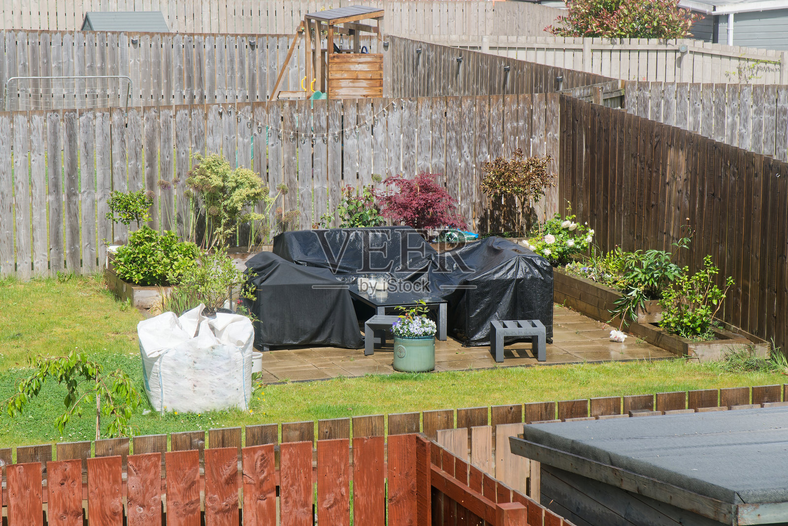 夏季花园植物展示与户外家具照片摄影图片