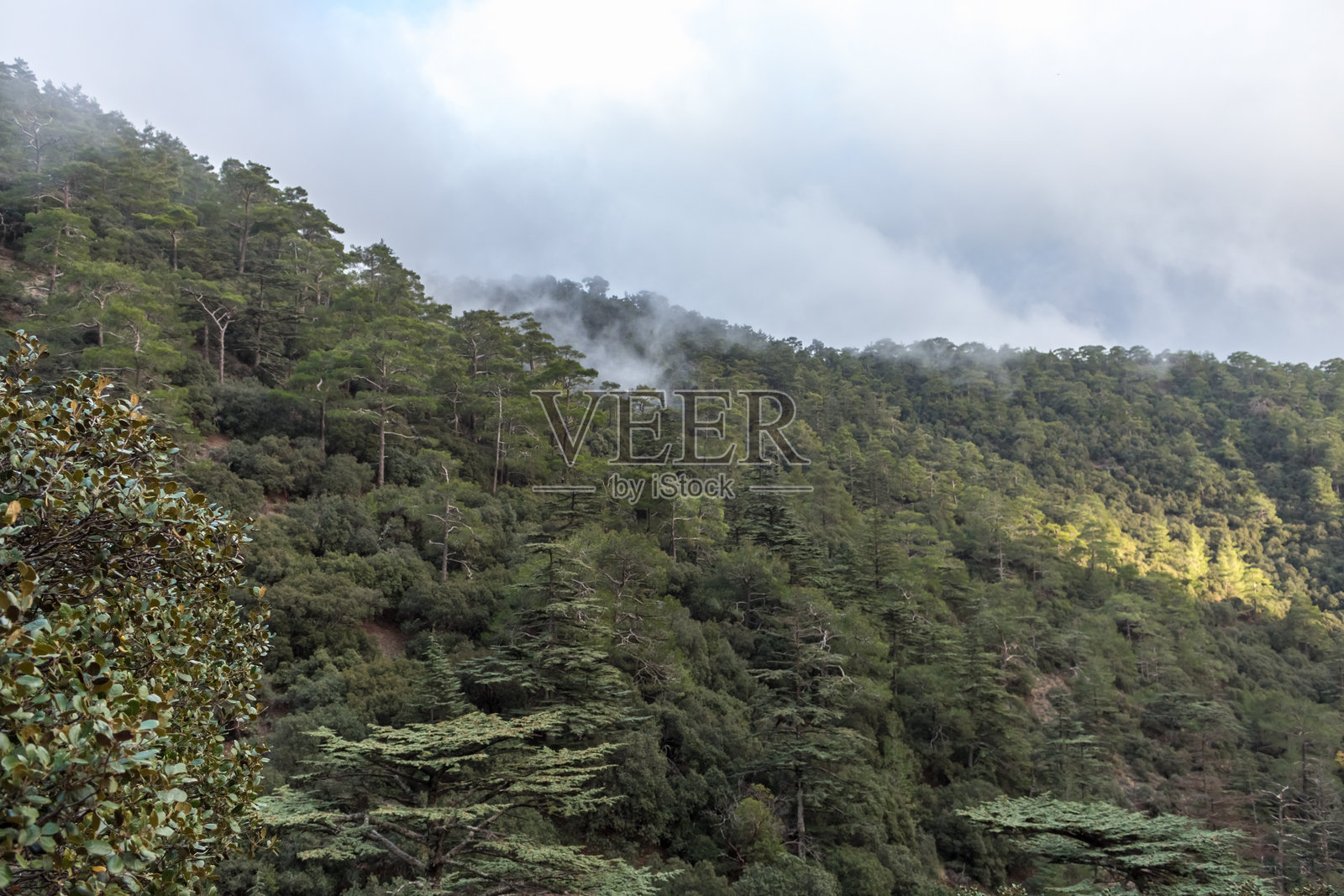 山坡照片摄影图片