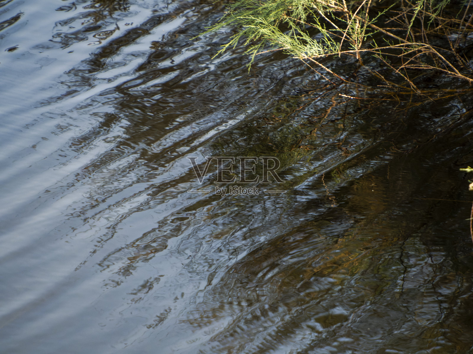 背景纹理照片摄影图片