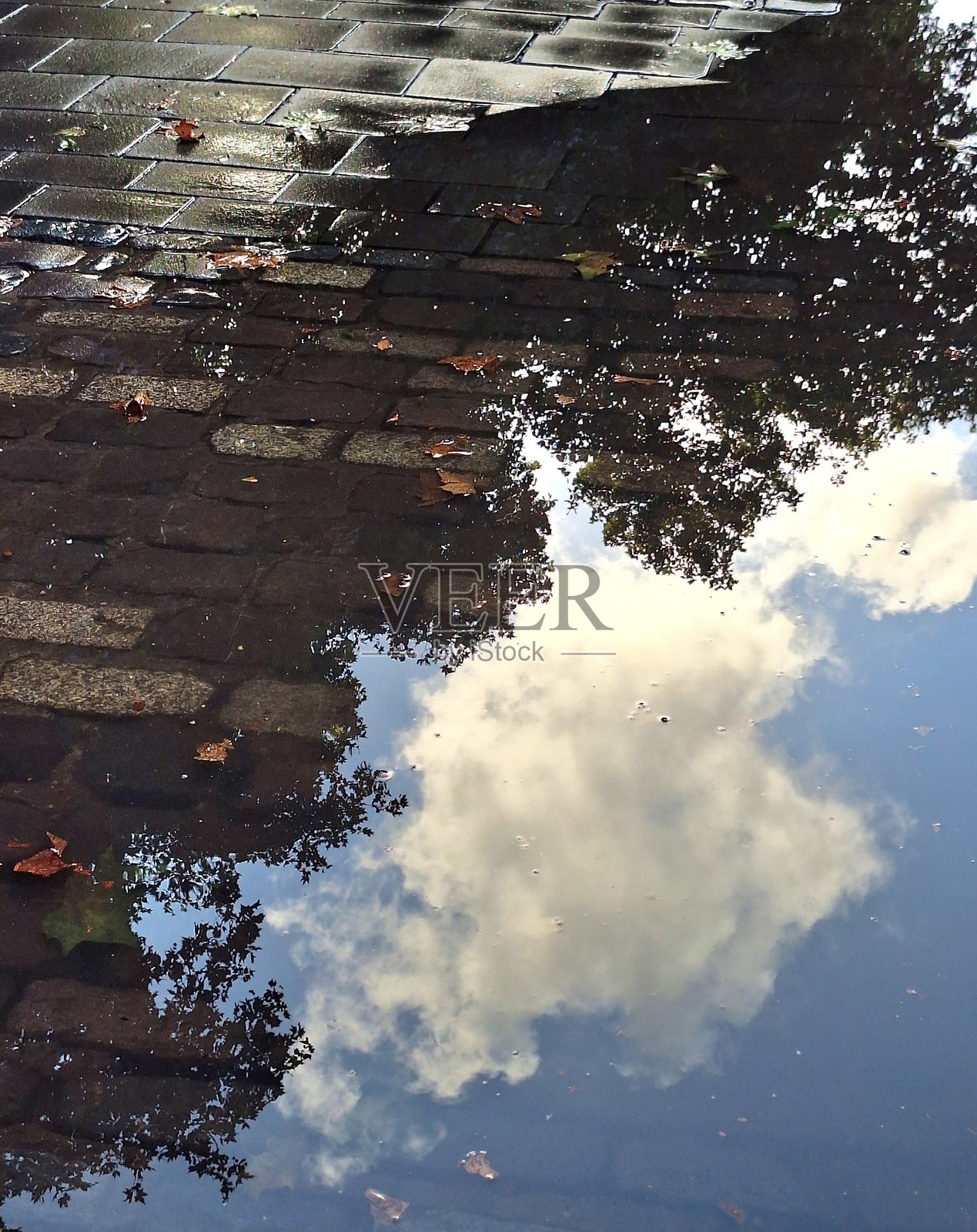 秋天的倒影在水洼中照片摄影图片