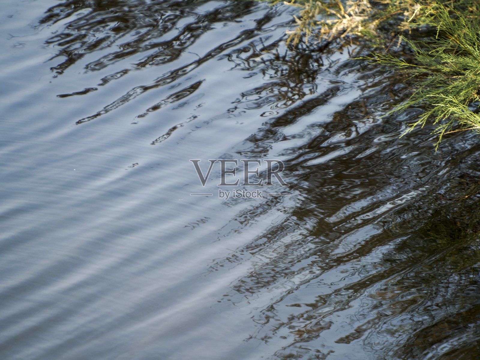 背景纹理照片摄影图片