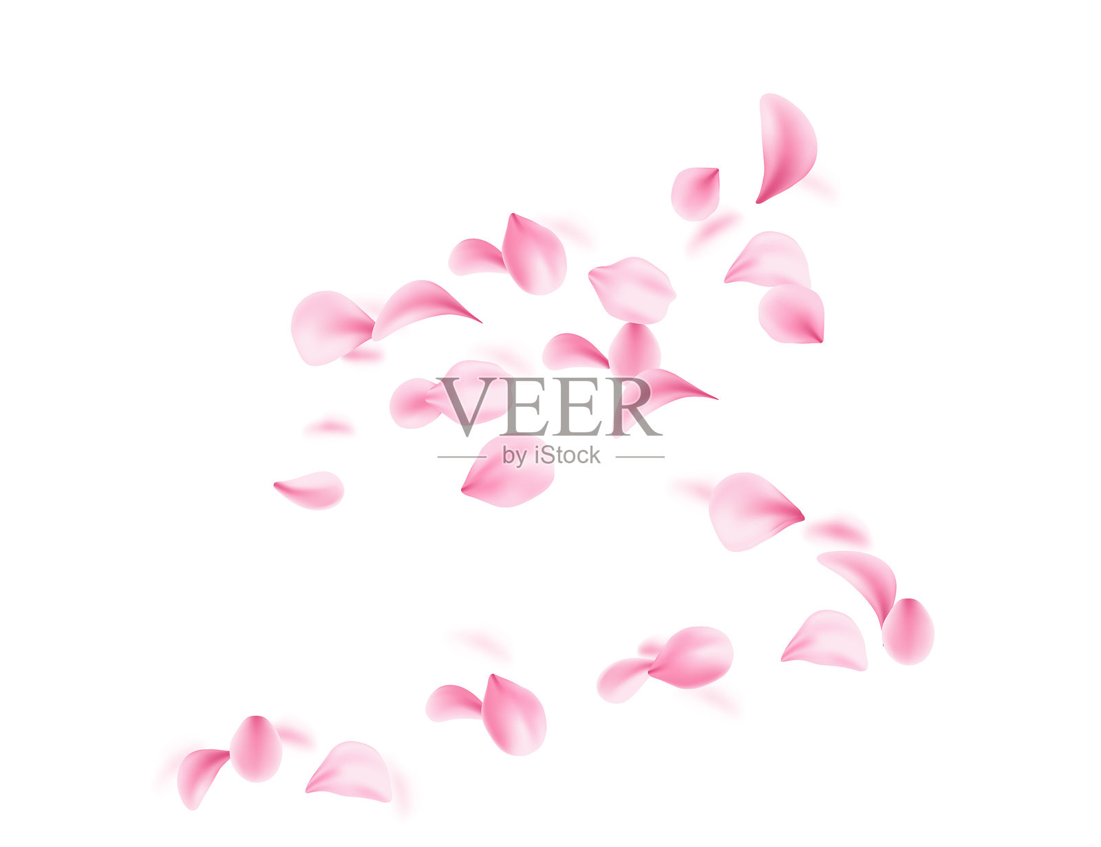 飞舞的柔软粉色花瓣在空中飘散。3D真实风格。花瓣和叶子的多样形状集合。矢量插图,背景为白色。插画图片素材