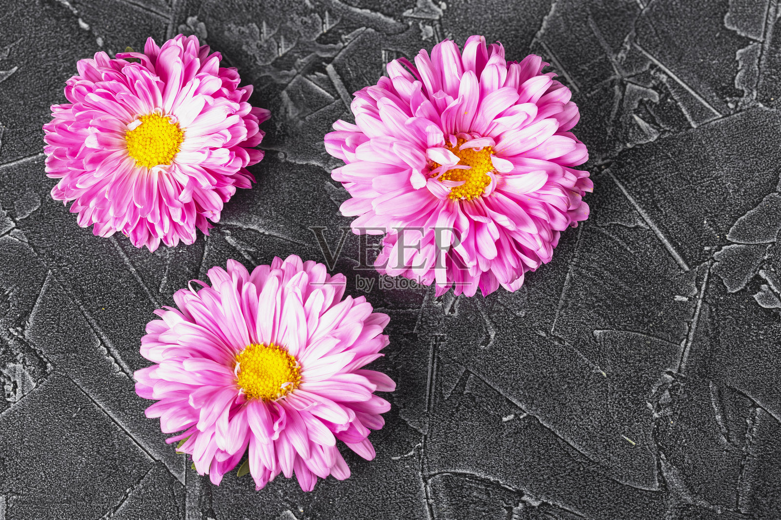 美丽的粉色花朵在深色背景上的俯视图照片摄影图片