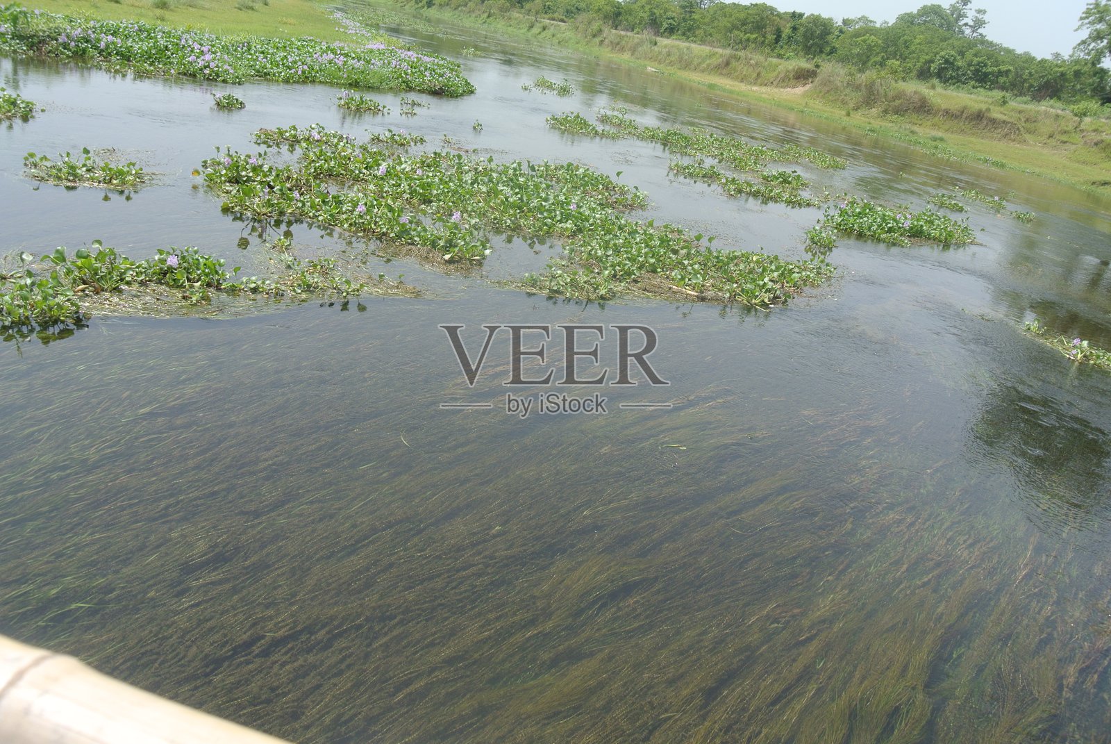 宁静的湿地或浅水池景观,水面宽广,流动缓慢。照片摄影图片