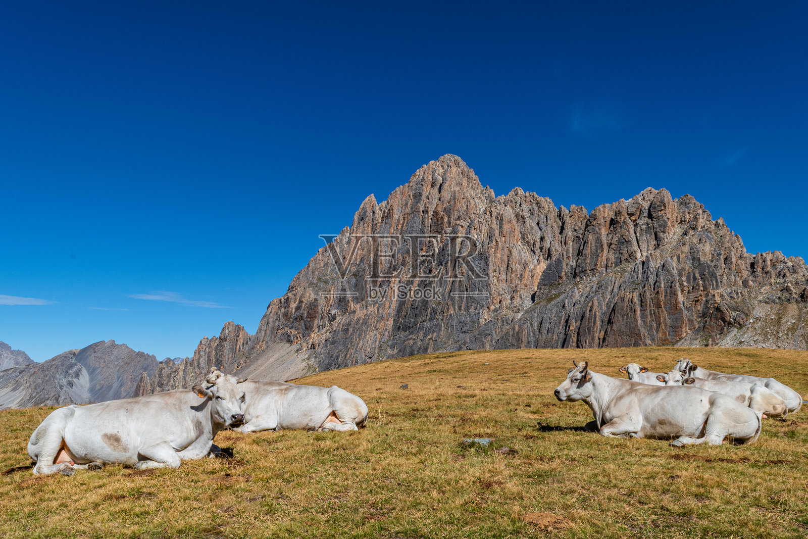 他的威严,梅贾山,是库内奥地区的一座标志性山脉,是科蒂安阿尔卑斯山中最美丽的山脉之一。照片摄影图片