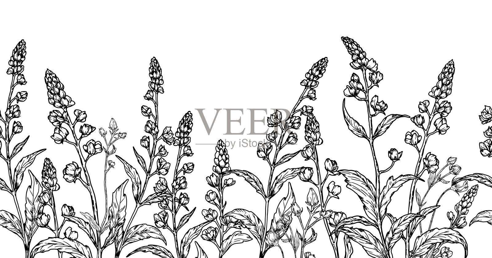 野花和叶子构成的无缝水平边框,黑白素描。矢量插图。草地和叶子的图案独立于白色背景。适用于卡片、邀请函、纺织品。插画图片素材