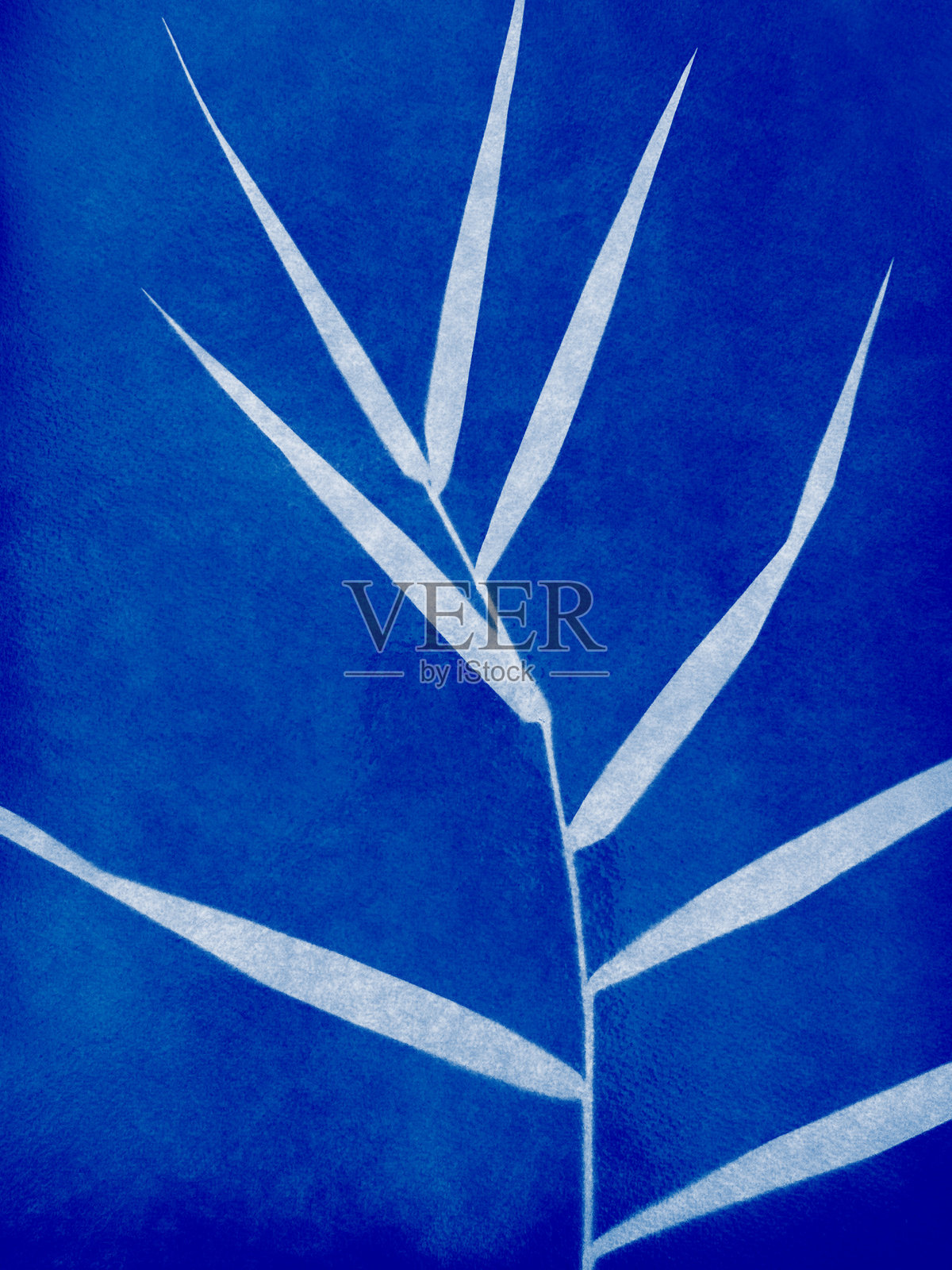 蓝色印花背景上的小花。青图版插图照片摄影图片