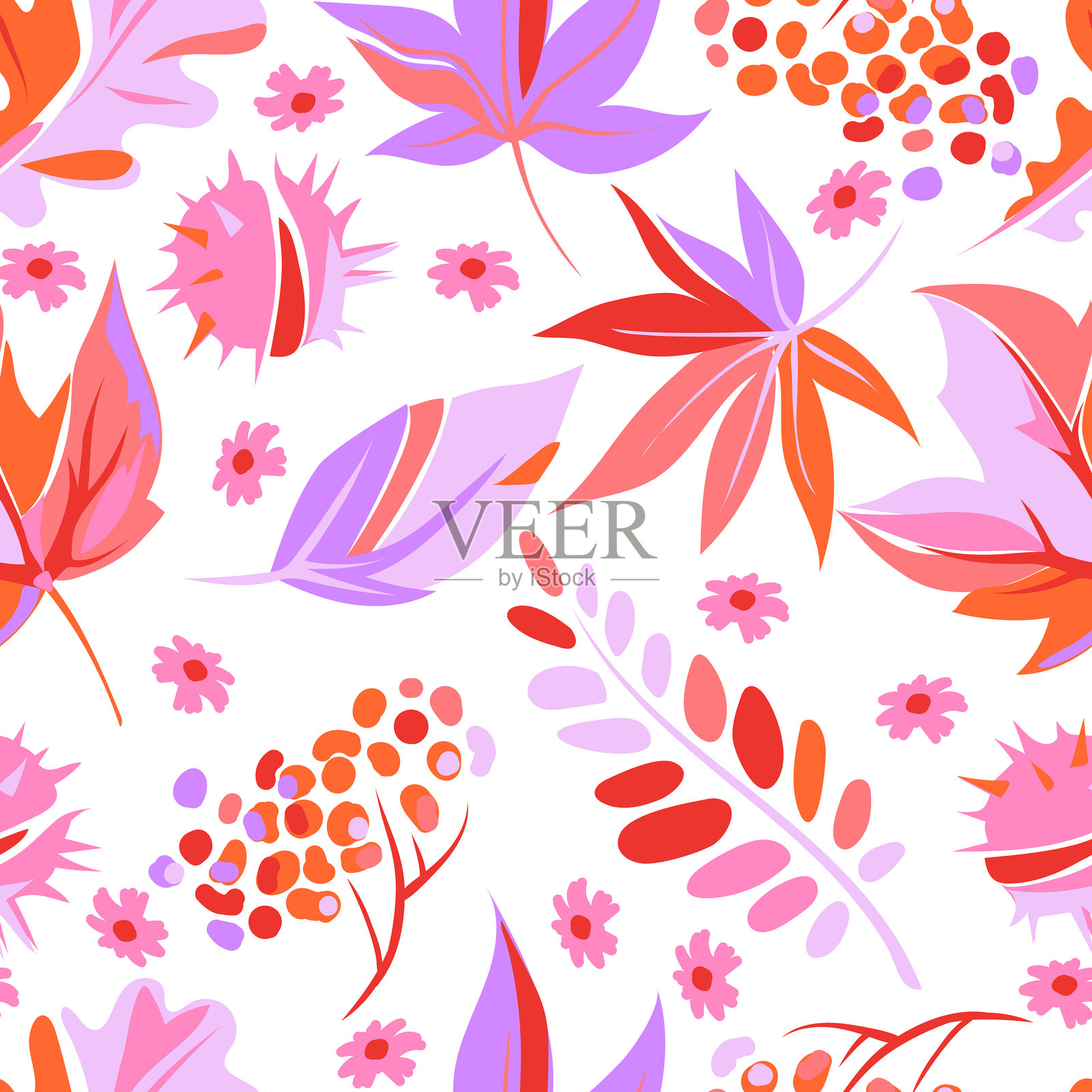 秋季图案,背景为白色,色彩斑斓的树叶、浆果和花朵。枫叶、金合欢、橡树、山楂浆果呈粉色和紫色。矢量插图。插画图片素材