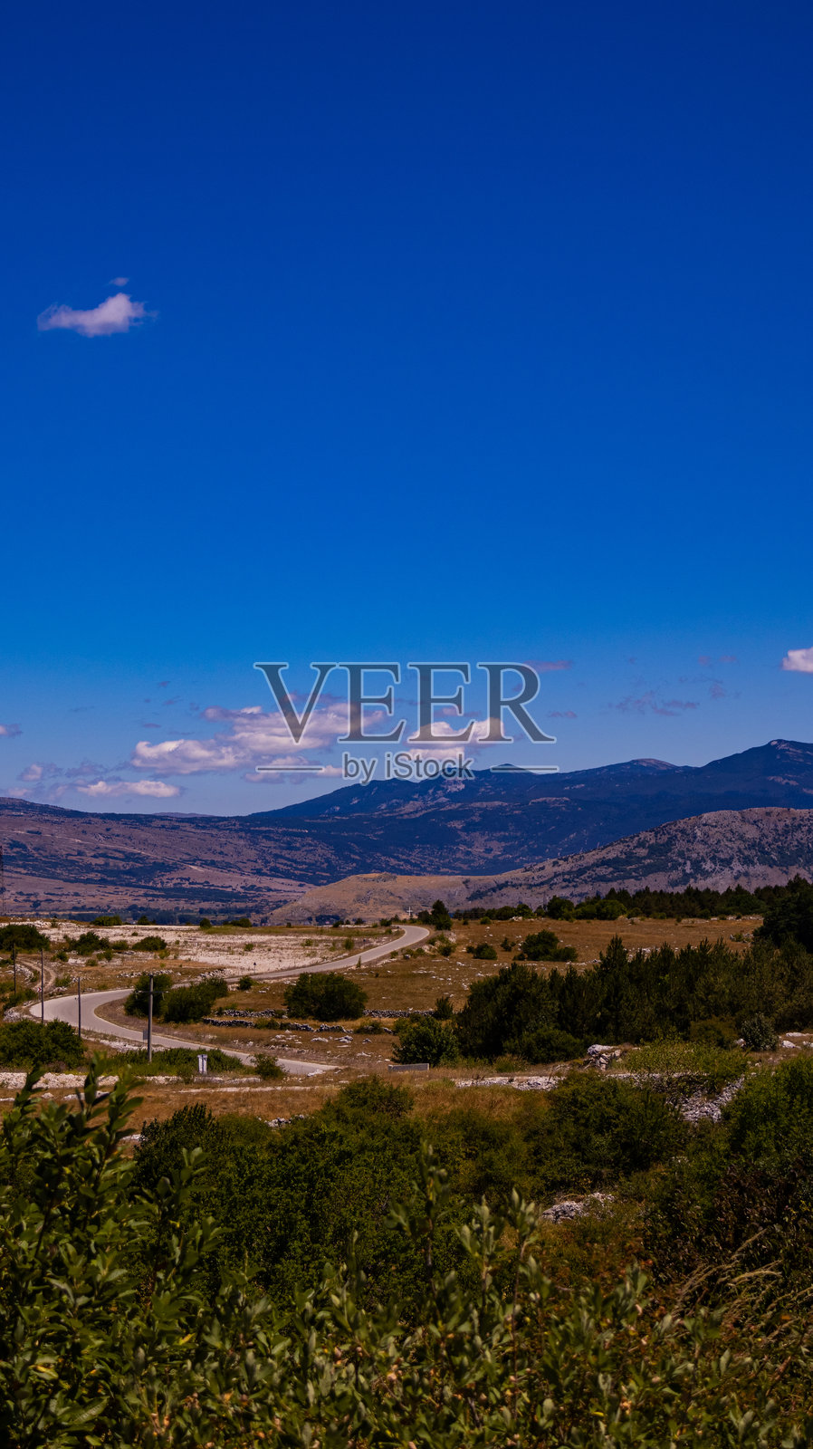 森林山丘上的日落照片摄影图片