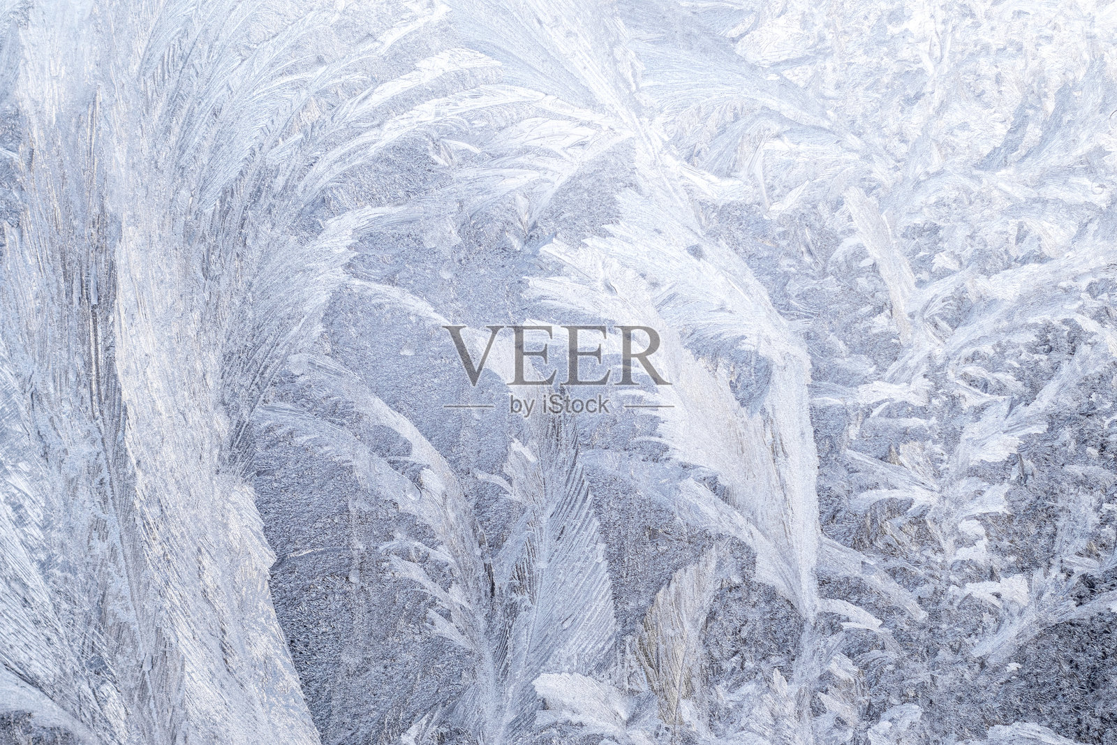 迷人的窗户上霜花在柔和的冬季光线下照片摄影图片