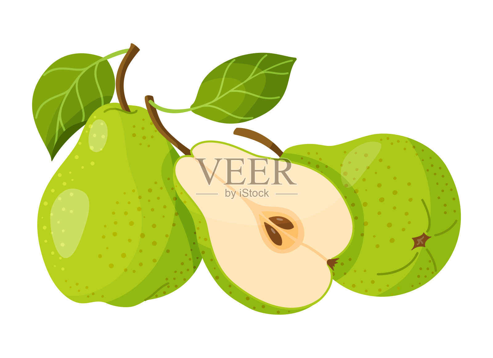 绿色梨插图。手绘食品剪贴画,现代扁平风格插画图片素材