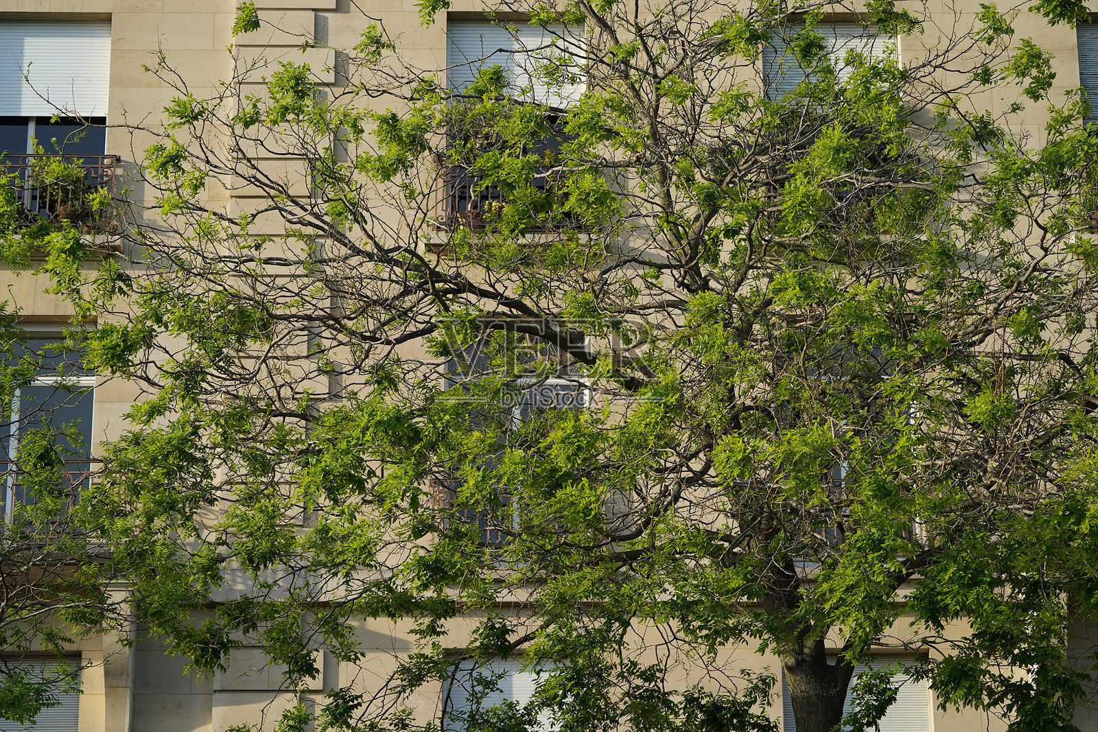 巴黎历史旅行地点照片摄影图片