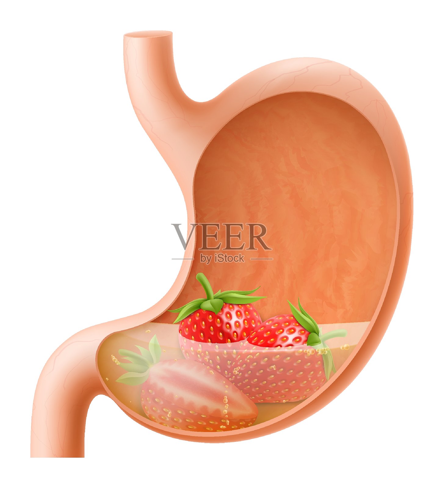网络插画图片素材