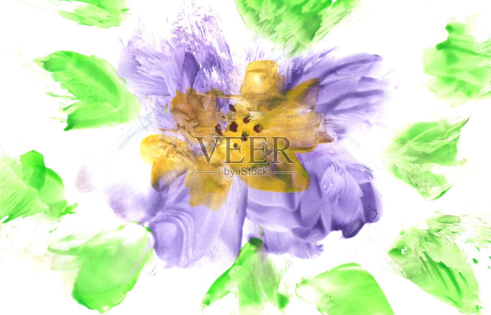 一朵单独的紫罗兰花与绿色叶子,柔和渐变效果插画图片素材