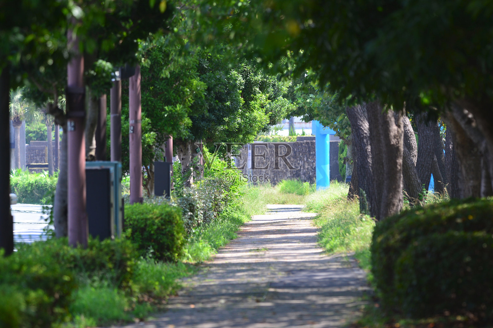 海岸公路的景观照片摄影图片