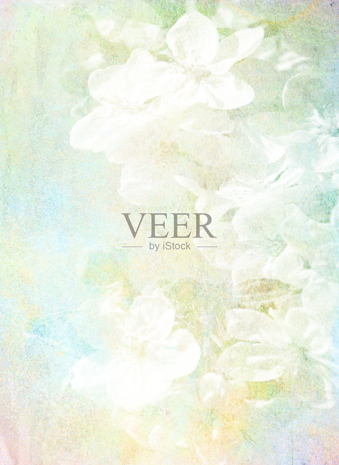 复古花卉照片摄影图片