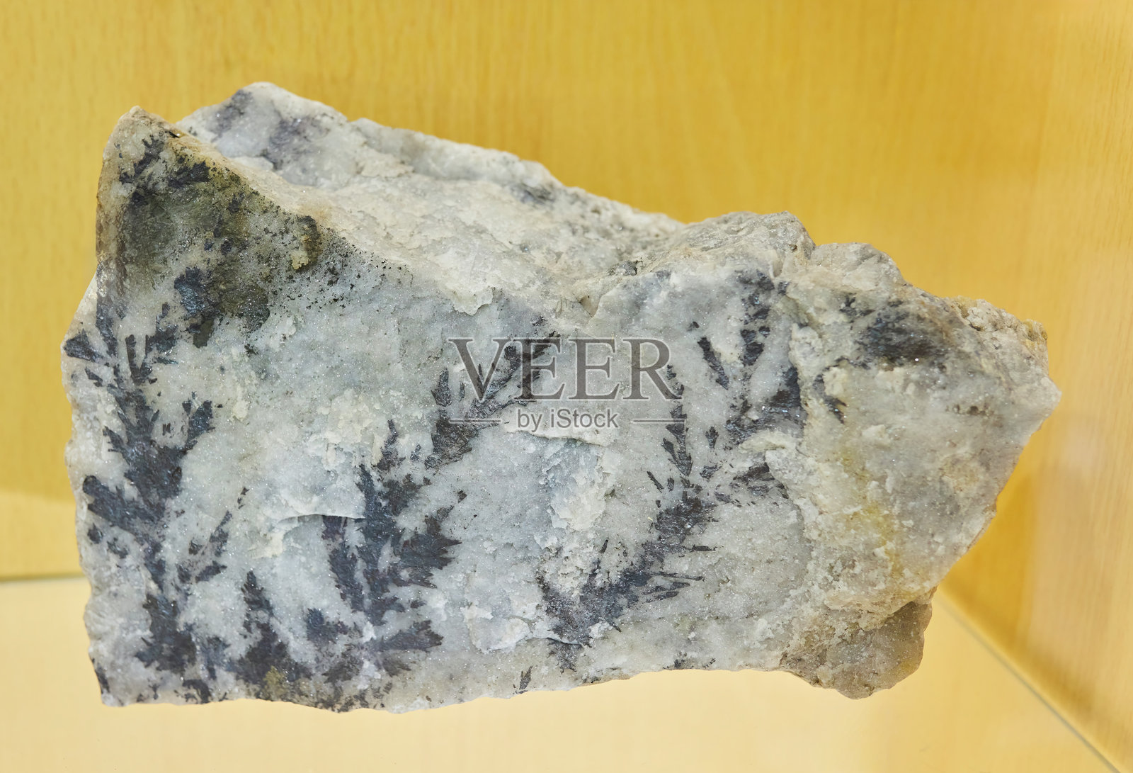 树枝状的复杂晶体形成物,称为树枝晶。地质学与矿物学照片摄影图片