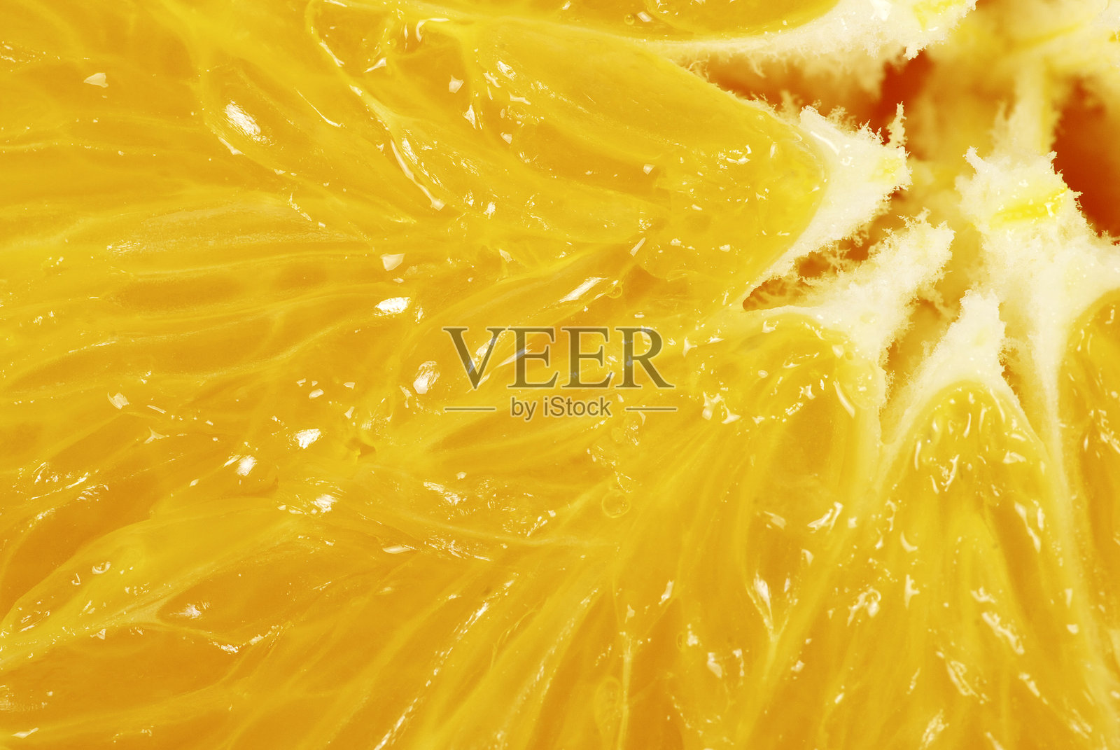 橙色背景照片摄影图片