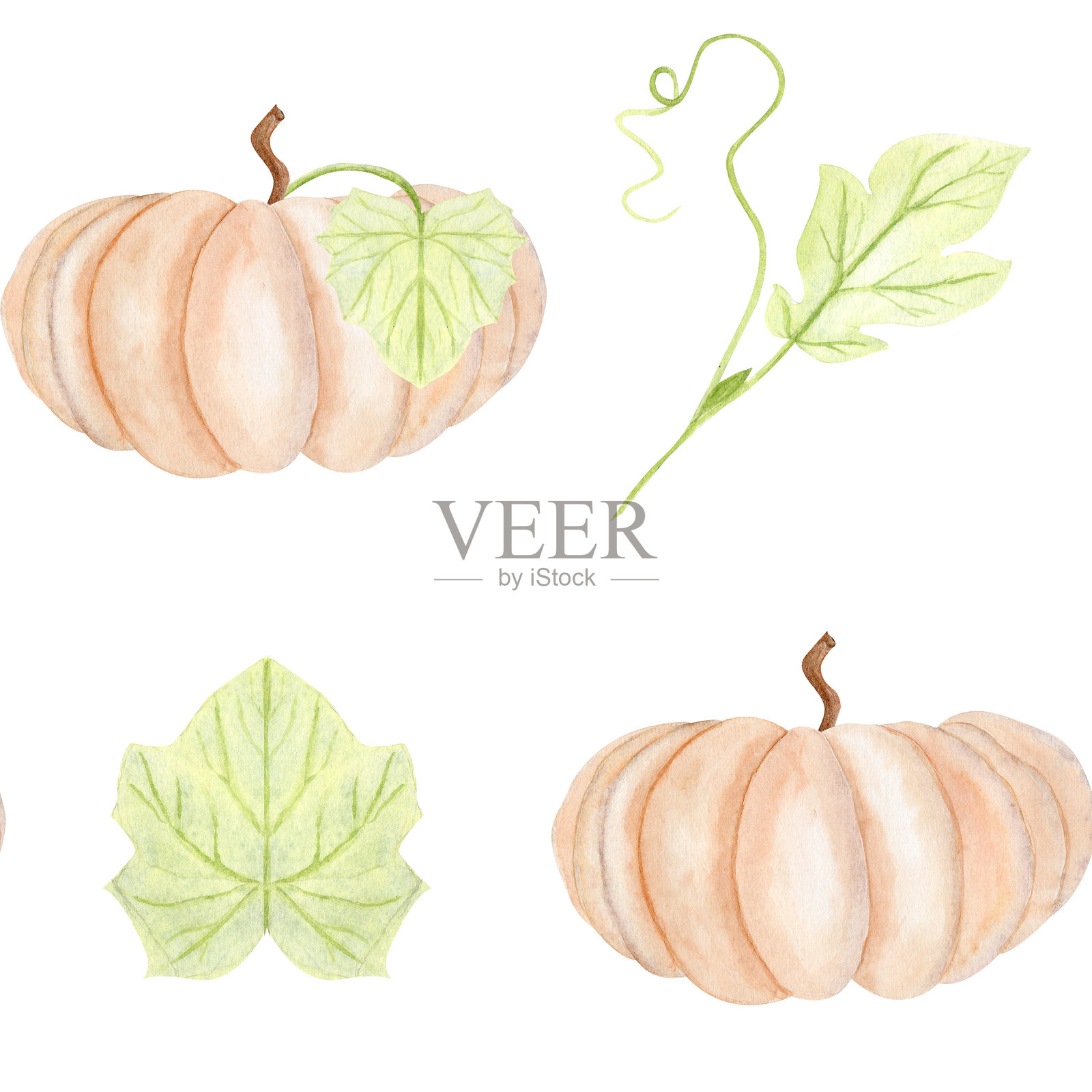 米色南瓜与绿色叶子的水彩无缝图案插画图片素材