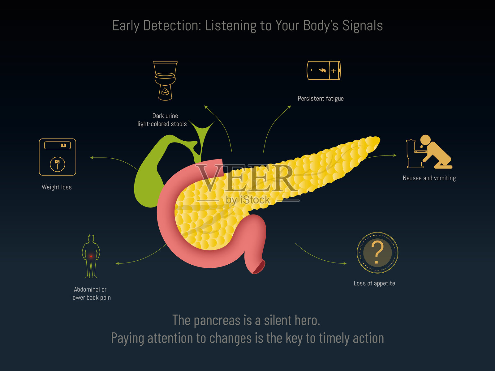 胰腺解剖信息图,展示早期发现症状和健康问题插画图片素材