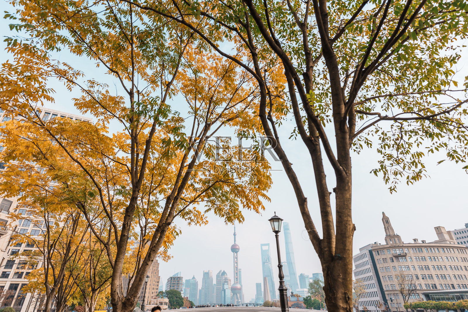 秋季上海城市风景。浦东陆家嘴的摩天大楼,从中国上海的一家咖啡吧俯瞰,地标性建筑,受欢迎的旅游景点。旅行与度假概念。照片摄影图片