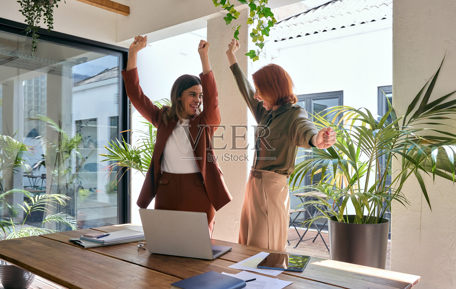 两位快乐的女商人在绿色办公室庆祝成功,盯着笔记本电脑。照片摄影图片