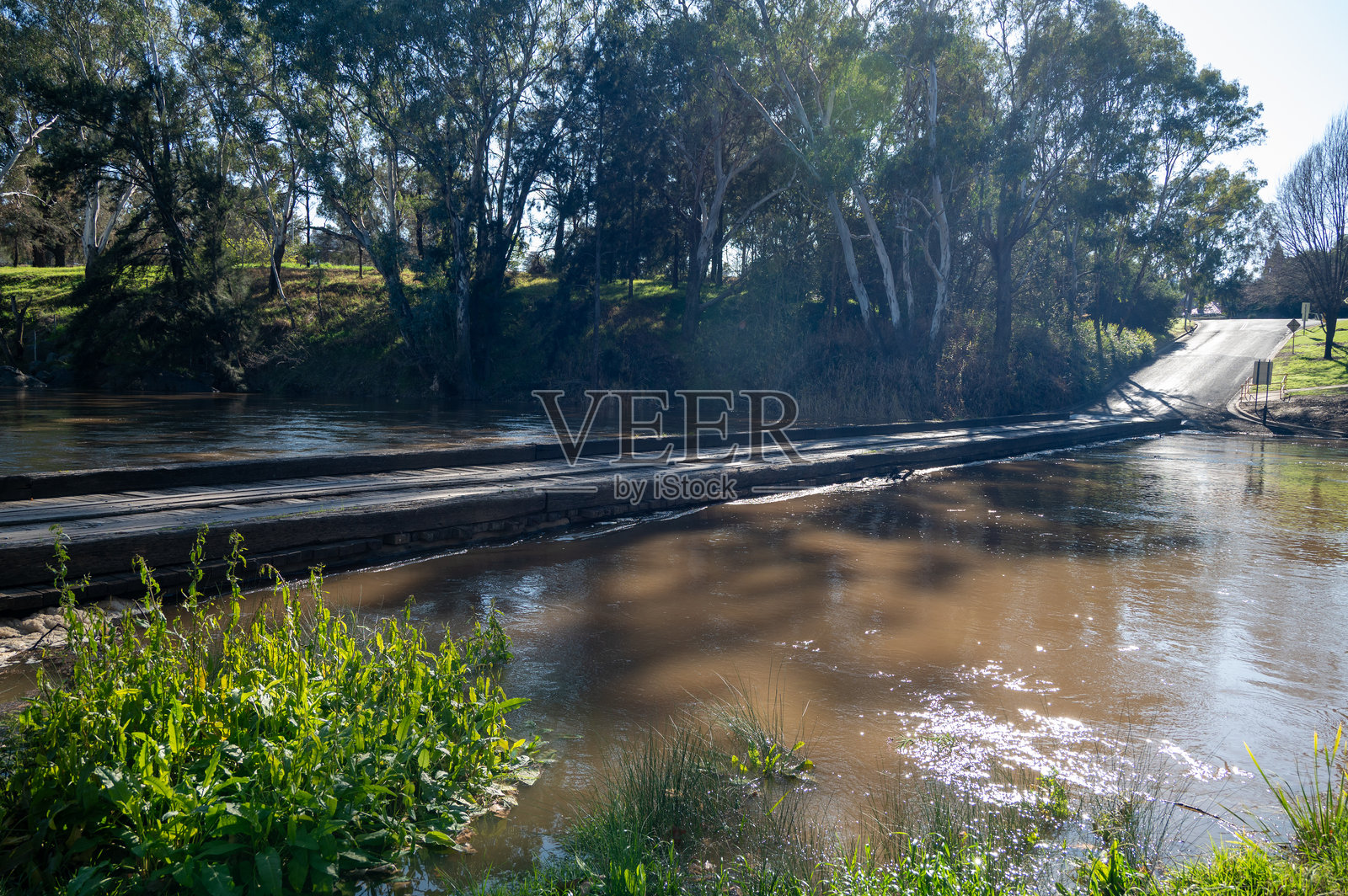 新南威尔士州地区的考拉,跨越拉克伦河的低矮桥梁照片摄影图片