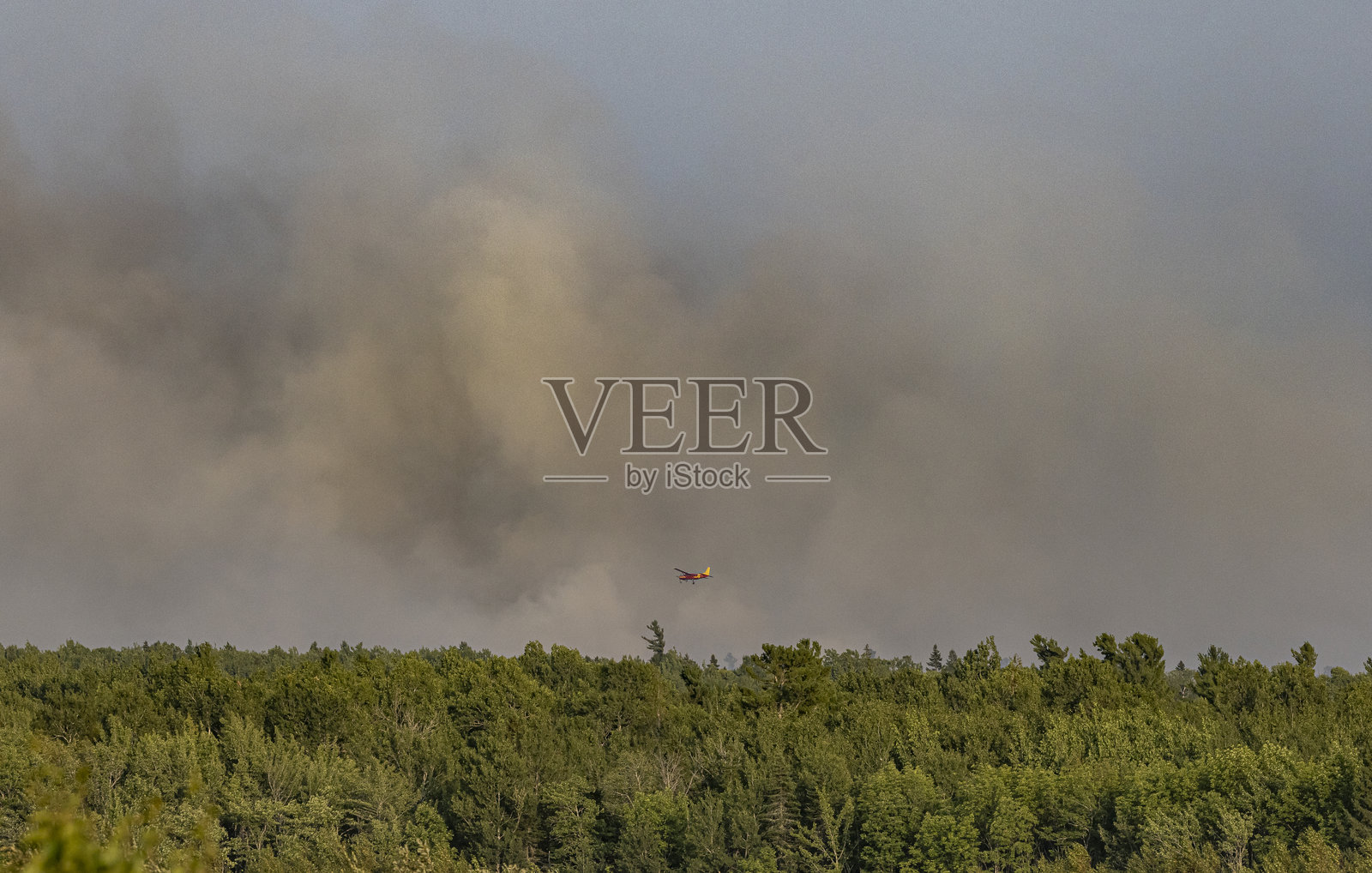 森林火灾照片摄影图片