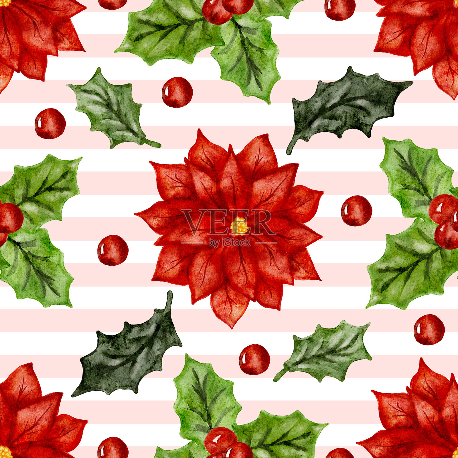 圣诞设计:在条纹背景上有一朵一品红、冬青和浆果的图案插画图片素材