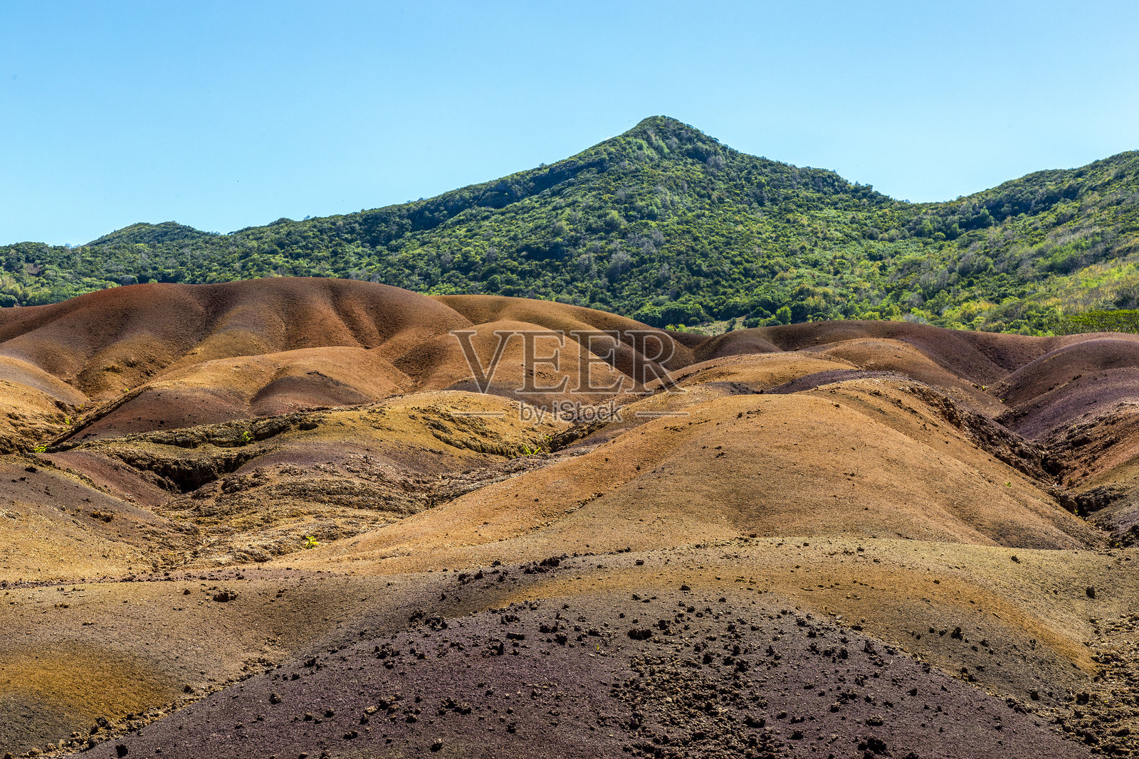 毛里求斯照片摄影图片