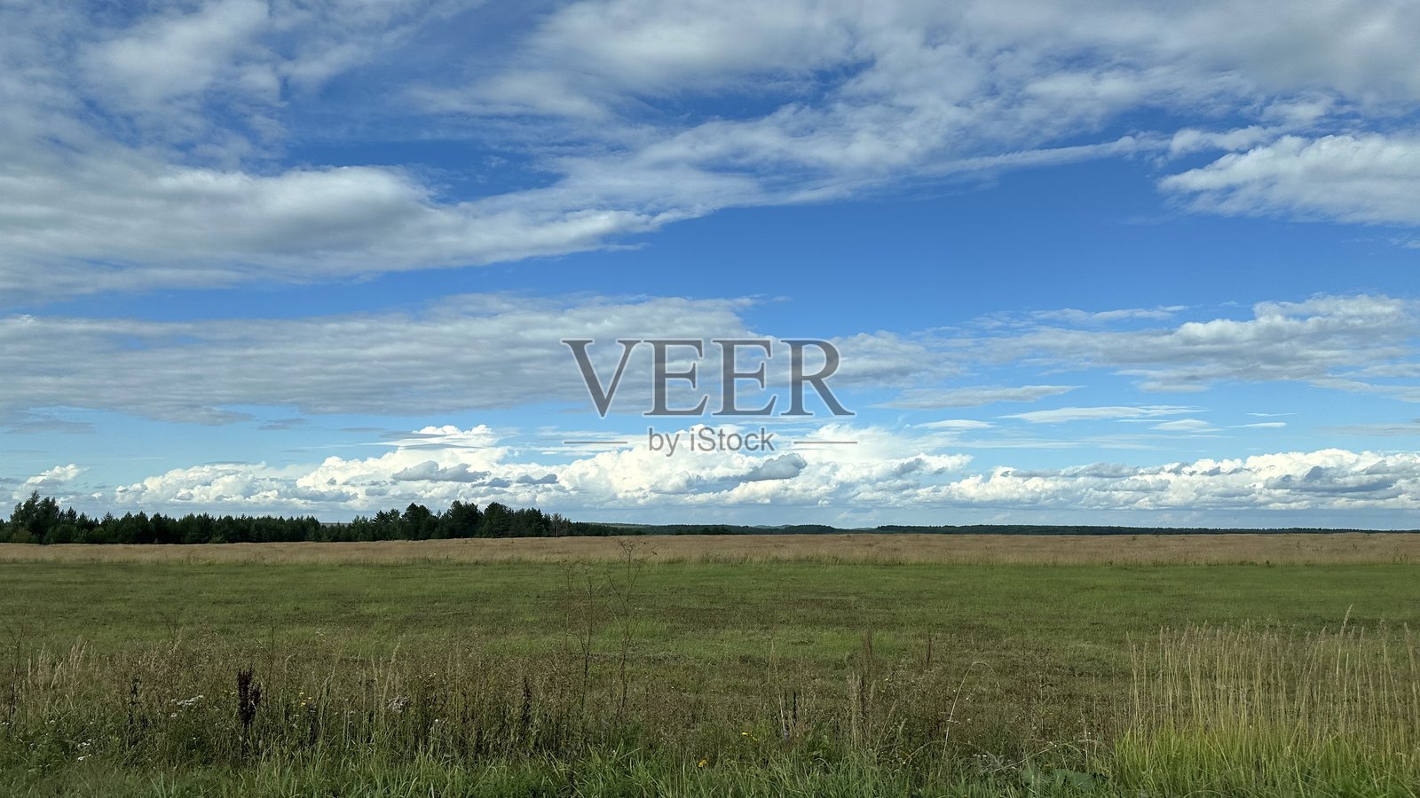 蓝天上白色蓬松的积云和卷云,田野上美丽的晚夏风景。照片摄影图片