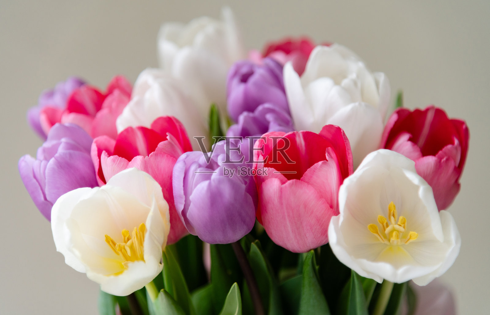 五彩缤纷的郁金香花束以各种色调点亮了房间,带来了春天的美丽。照片摄影图片