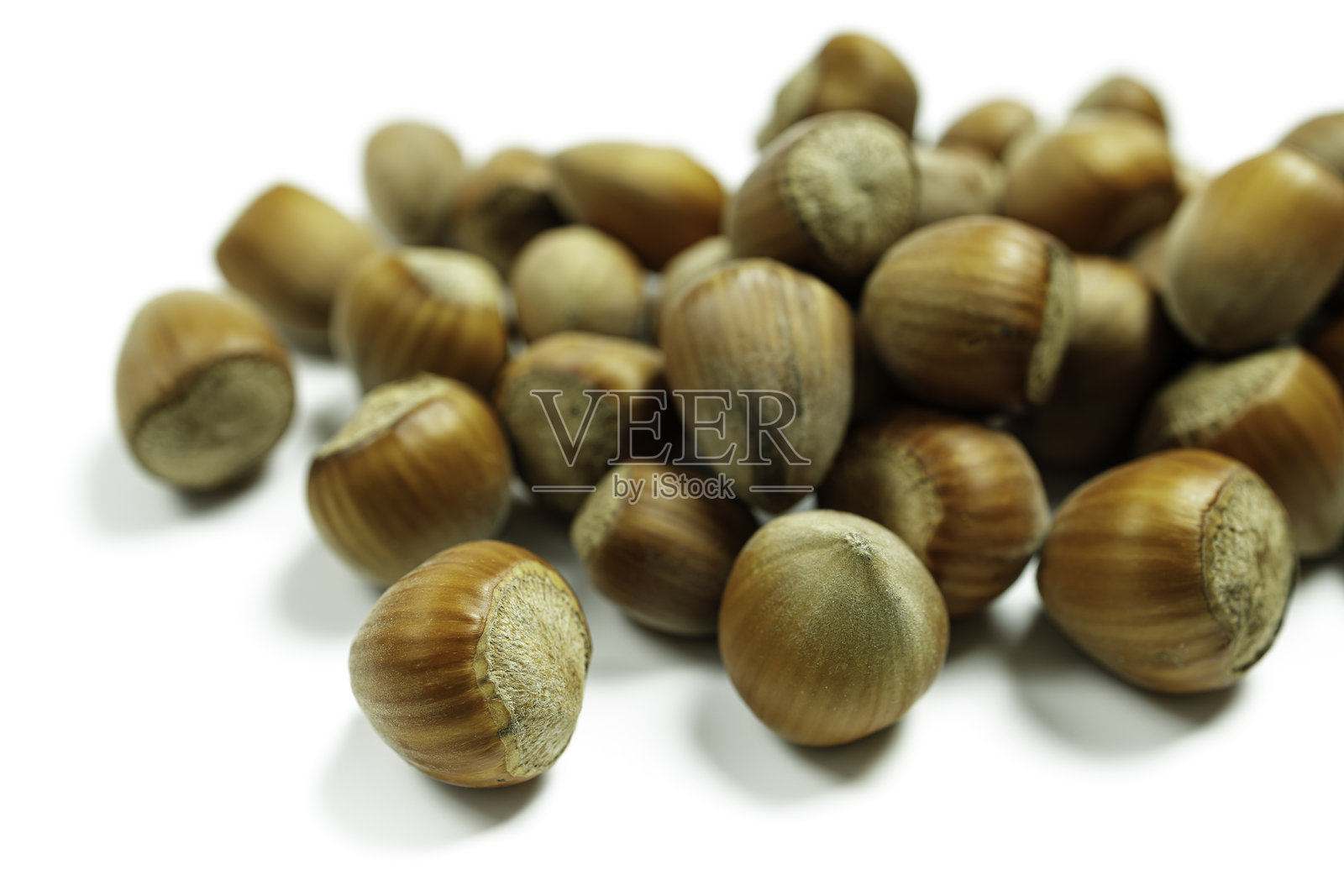 带壳榛子的特写,排列在白色背景上照片摄影图片