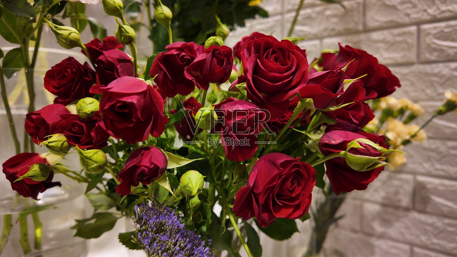 美丽的花卉展示,情人节背景,婚礼日照片摄影图片