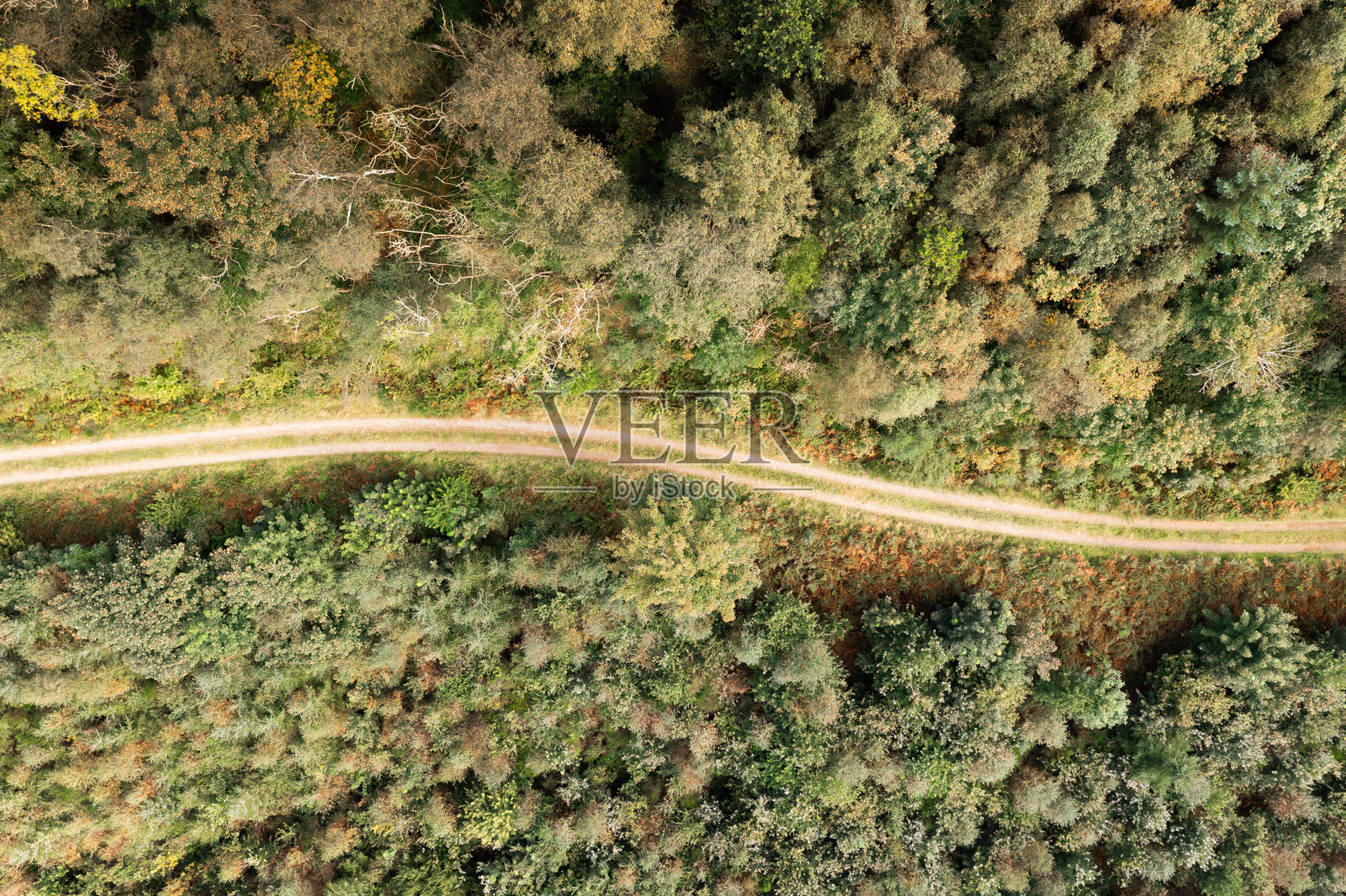 无人机视角俯瞰苏格兰乡村森林中的土路照片摄影图片