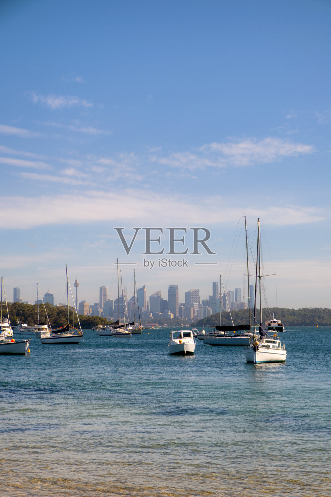 悉尼沃森湾停泊的游艇和船只照片摄影图片