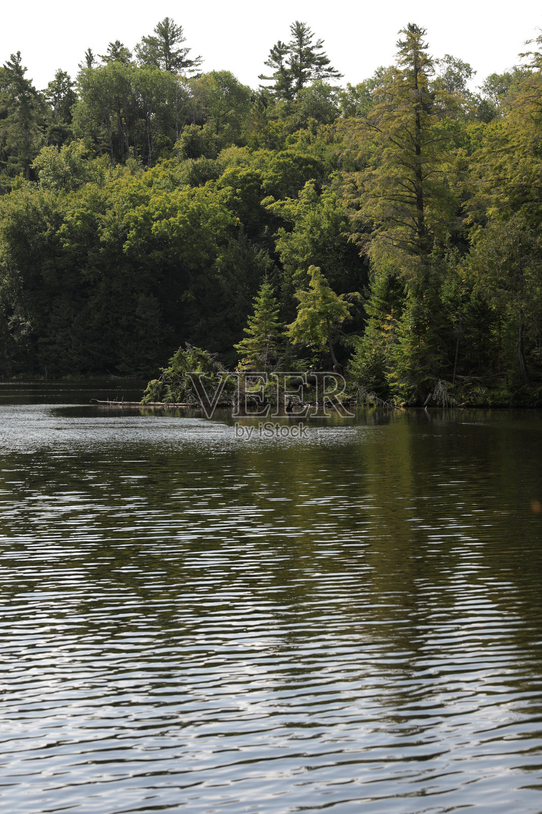 加拿大安大略省弗龙特纳克县的诺尔坎湖(夏季)照片摄影图片