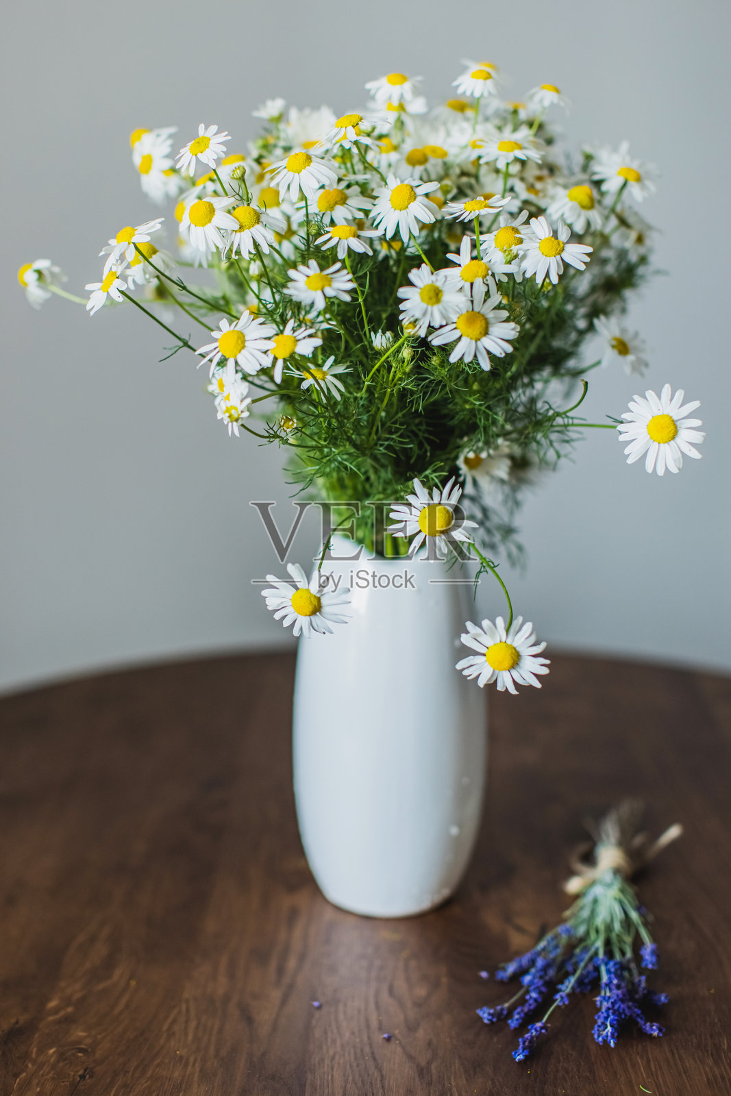 白色花瓶中的雏菊花束照片摄影图片