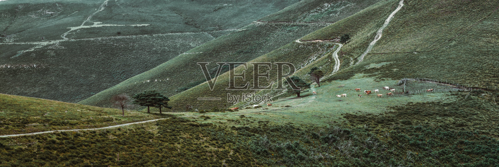 圣雅各之路,阿斯图里亚斯照片摄影图片