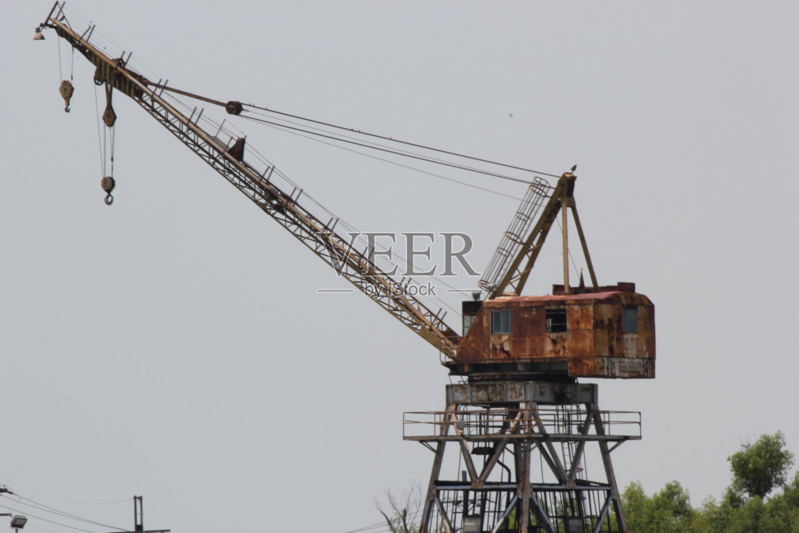 鹤照片摄影图片