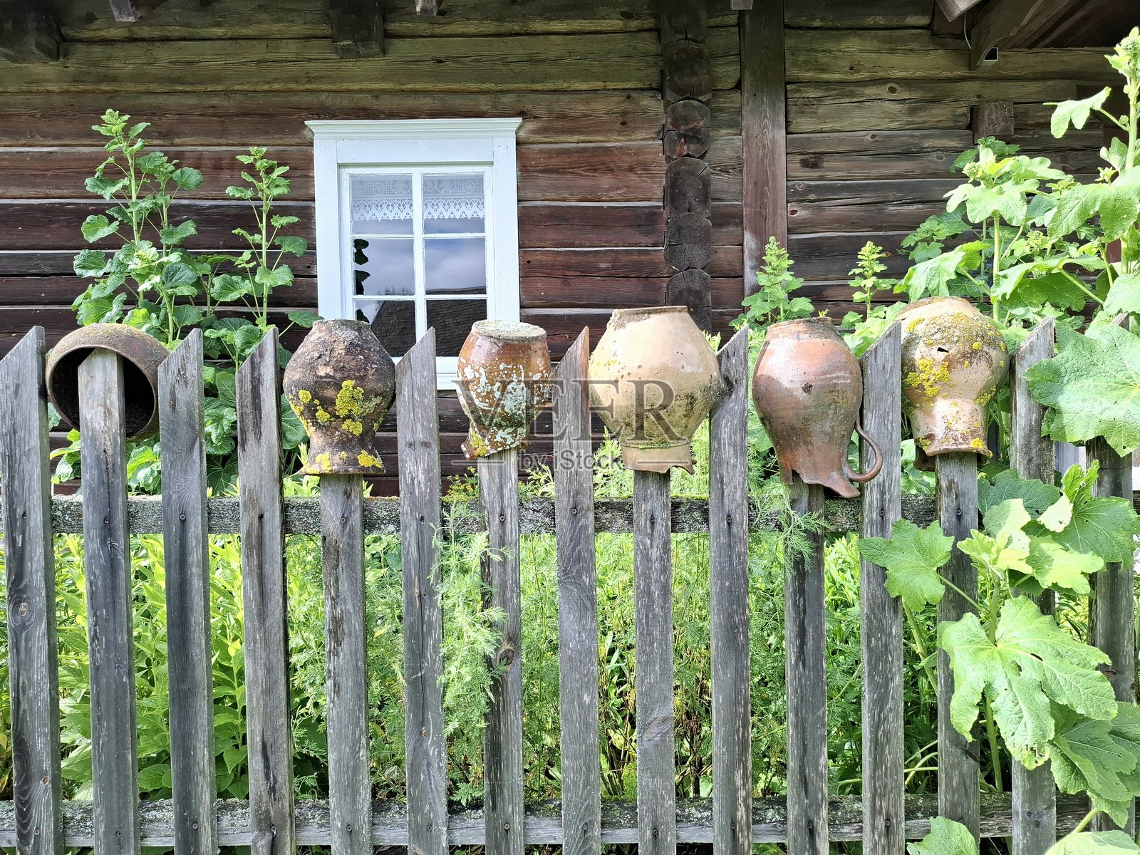 老人照片摄影图片