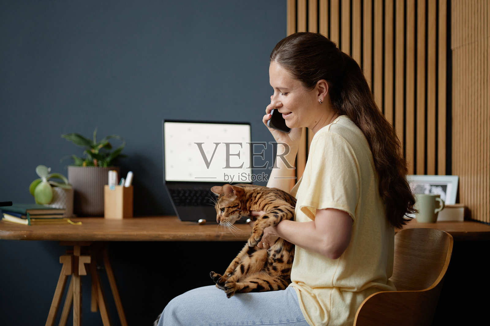 年轻女子在室内与人通话,同时抱着一只孟加拉猫照片摄影图片